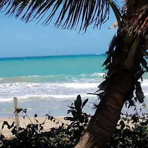 ivbb-beach-studio.comcaribbean.com/